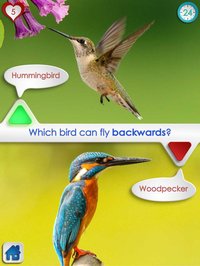 Pick & Tick screenshot, image №1599539 - RAWG
