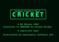 Graham Gooch's All Star Cricket screenshot, image №755258 - RAWG