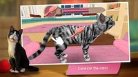 CatHotel - Hotel for cute cats screenshot, image №1520002 - RAWG