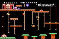 Donkey Kong Jr. screenshot, image №726880 - RAWG