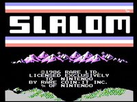 Slalom screenshot, image №737801 - RAWG