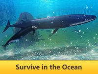 Ocean Whale Simulator: Animal Quest 3D screenshot, image №1625940 - RAWG