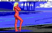 Leisure Suit Larry screenshot, image №222274 - RAWG