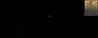 The Skinwalker (grippelYT) screenshot, image №3706066 - RAWG