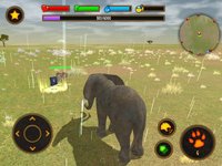 Clan Of Elephant screenshot, image №973801 - RAWG
