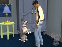 The Sims 2: Pets screenshot, image №457886 - RAWG