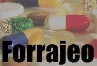 Forrajeo screenshot, image №2418069 - RAWG