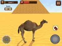 Camel Simulator screenshot, image №2143175 - RAWG