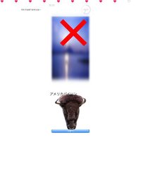 Animal Faces L/R Touch screenshot, image №1812959 - RAWG