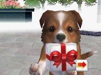 Nintendogs: Labrador & Friends screenshot, image №1865363 - RAWG