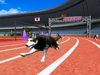 Crazy Racing Dog Simulator screenshot, image №1678626 - RAWG