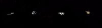 Space Ships Simulator screenshot, image №1832924 - RAWG