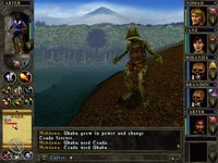 Wizards & Warriors: Quest for the Mavin Sword screenshot, image №315473 - RAWG