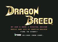 Dragon Breed screenshot, image №748140 - RAWG