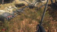 Forest spiders screenshot, image №2172628 - RAWG