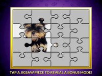 Puppy Pay Day Dog Vegas Slots Machine Casino screenshot, image №1359083 - RAWG
