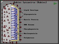 Project 8-bit Rabies screenshot, image №3342573 - RAWG