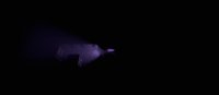 Ghost of the Ark screenshot, image №1875877 - RAWG