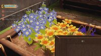 Cozy Gardener Simulator screenshot, image №4242084 - RAWG