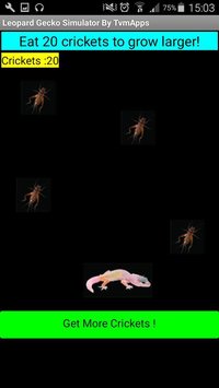 Leopard Gecko Simulator screenshot, image №1288534 - RAWG