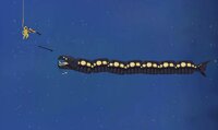 Aquanaut (EvilScotsman) screenshot, image №2822913 - RAWG