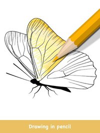 Butterflies Coloring Books screenshot, image №1380913 - RAWG