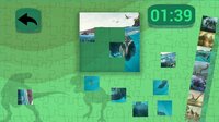 Ultimate Puzzles Dinosaurs screenshot, image №3447097 - RAWG
