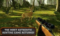 DEER HUNTER RELOADED screenshot, image №1449014 - RAWG