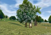 Mabinogi screenshot, image №493438 - RAWG