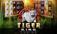 Slots Tiger King Casino Slots screenshot, image №1408133 - RAWG