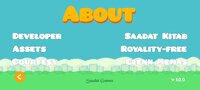 Flappy Bird (itch) (Saadat Khurshid) screenshot, image №3019109 - RAWG