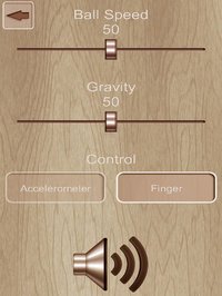 Travel. Labyrinth edition screenshot, image №943029 - RAWG