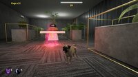 Pug and Seek screenshot, image №4081724 - RAWG