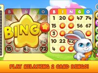 Bingo Pet Rescue screenshot, image №3077494 - RAWG