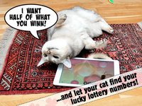 Lucky Cat Lottery Numbers - Catch Game For Cats screenshot, image №1739535 - RAWG