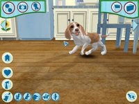 Dogz 6 screenshot, image №468960 - RAWG