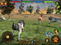 Wolf Life Simulation 2017 screenshot, image №1843805 - RAWG