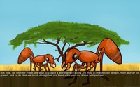 Dream of an Acacia Tree screenshot, image №1056785 - RAWG
