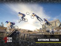 King Of BMX screenshot, image №2041200 - RAWG