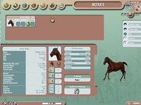 Horse Racing Manager screenshot, image №365321 - RAWG