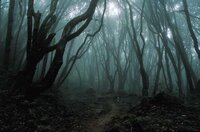 zombie forest screenshot, image №2846601 - RAWG