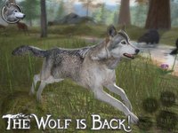 Ultimate Wolf Simulator 2 screenshot, image №2221614 - RAWG