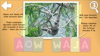 NEBAK GAMBAR: Fauna Indonesia (nebak) screenshot, image №1308821 - RAWG