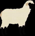 Billy Goat Grub screenshot, image №1208909 - RAWG