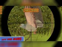 Boscage bird hunting: Wildlife sniper shooter screenshot, image №1832837 - RAWG