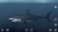 Talking Great White: My Pet Shark PRO screenshot, image №967964 - RAWG