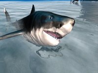 Shark Simulator 3D 2016 - Ocean animals screenshot, image №935940 - RAWG