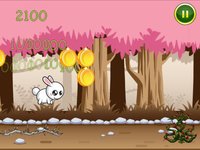 Bunny Run Lite - Endless Runner screenshot, image №969620 - RAWG