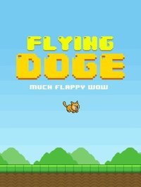 Flying doge: wow! screenshot, image №1682817 - RAWG