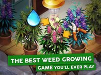 Hempire - Weed Growing Game screenshot, image №927247 - RAWG